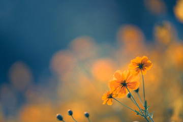 历史上与诸葛亮齐名的是谁