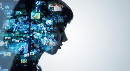 中华人民共和国野生动物保护法国家重点保护的野生动物分为什么