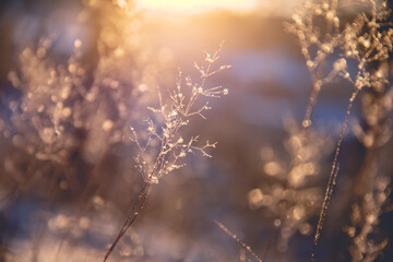 历史上与诸葛亮齐名的是谁