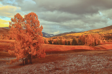 彩泥和太空泥得区别