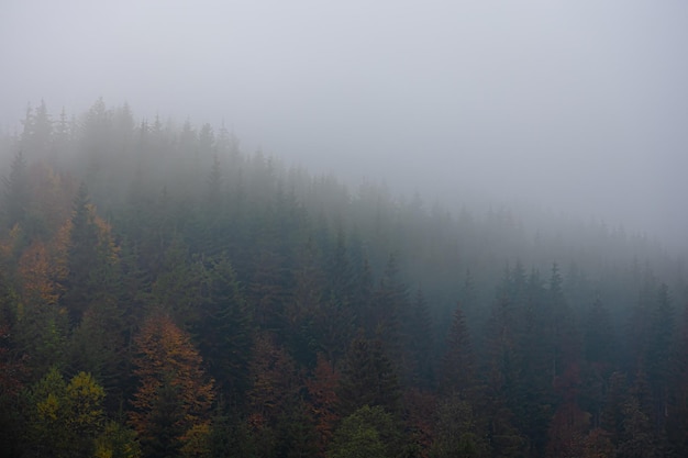 个人所得税房屋贷款应选择哪种申报方式