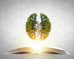 中华人民共和国野生动物保护法国家重点保护的野生动物分为什么