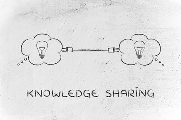 中华人民共和国野生动物保护法国家重点保护的野生动物分为什么