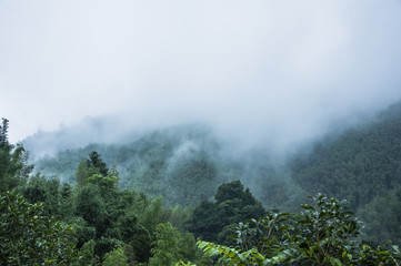 历史上与诸葛亮齐名的是谁
